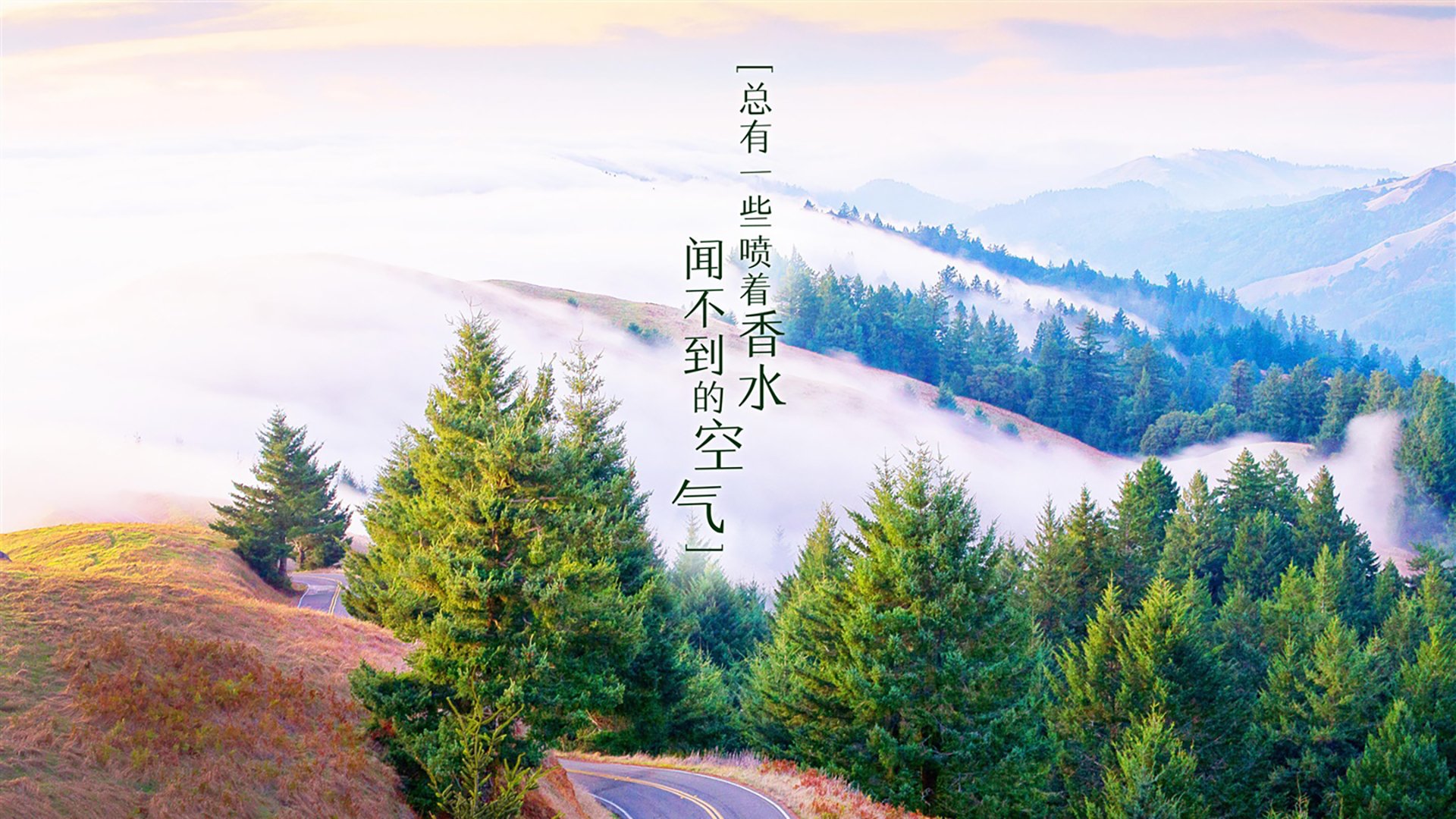 青少年篮球“梦想之路”系列讲座助推青训行业发展，青少年篮球培训内容有哪些