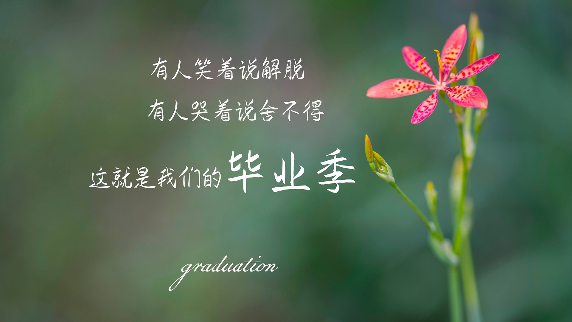 亚洲足球俱乐部在洲际舞台上大放异彩，亚洲足球俱乐部比赛