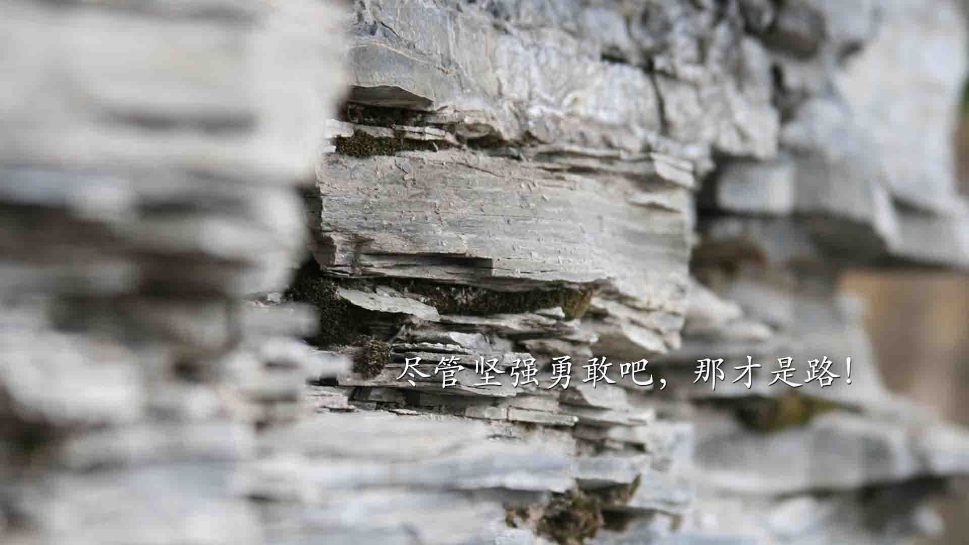 球员合同条款是否应增加行为约束机制，职业球员合同条款