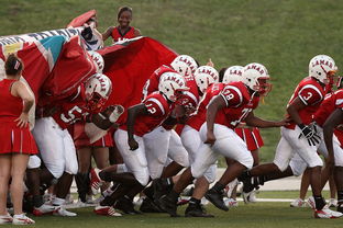 爱游戏体育官方网站-国家队技战术水平提升瓶颈，国家技巧队