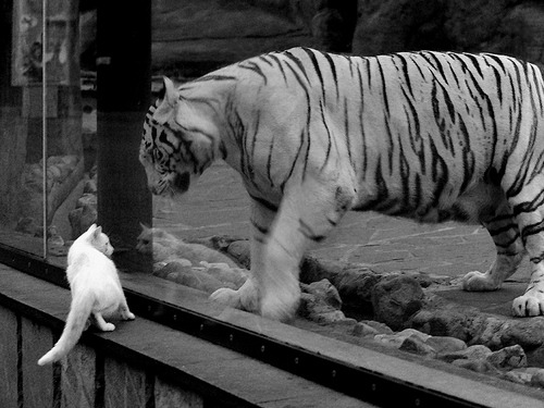 中小学篮球加强篮球文化宣传提升学生认同感，学校篮球文化