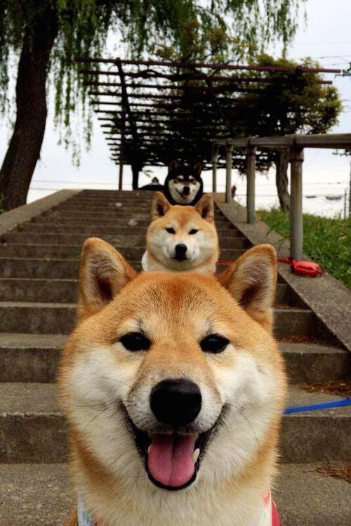 勇士连续三场得分破一百二十展现火力,勇士几连败