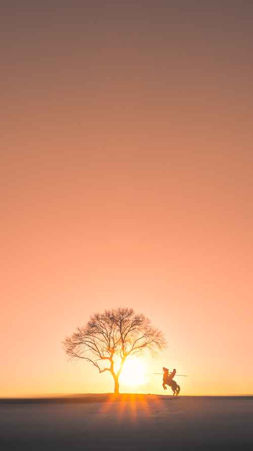 爱游戏下载-希腊女篮在欧洲锦标赛中再夺冠军，创造新传奇，希腊女子篮球超级联赛ds