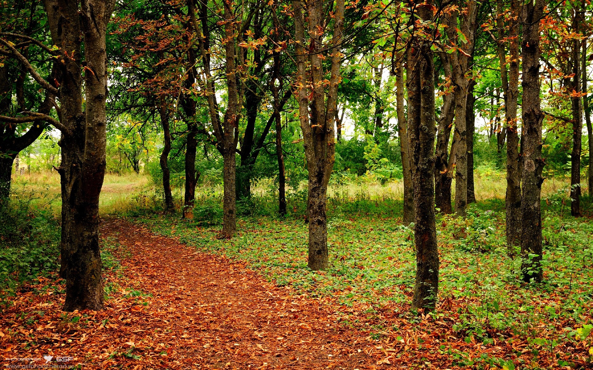 爱游戏 电竞-梅西带领阿根廷不断前进，冲刺世界杯梦想